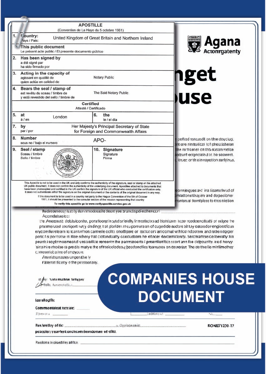 Companies House document
